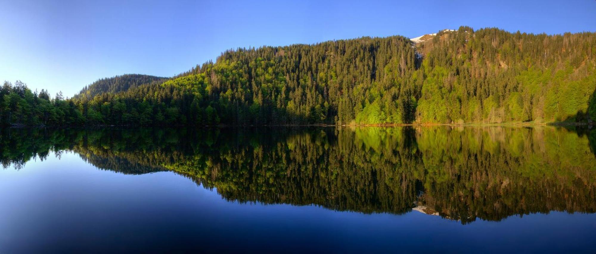 Haus Panoramablick - Fewo Storchennest, Höchenschwand Buitenkant foto